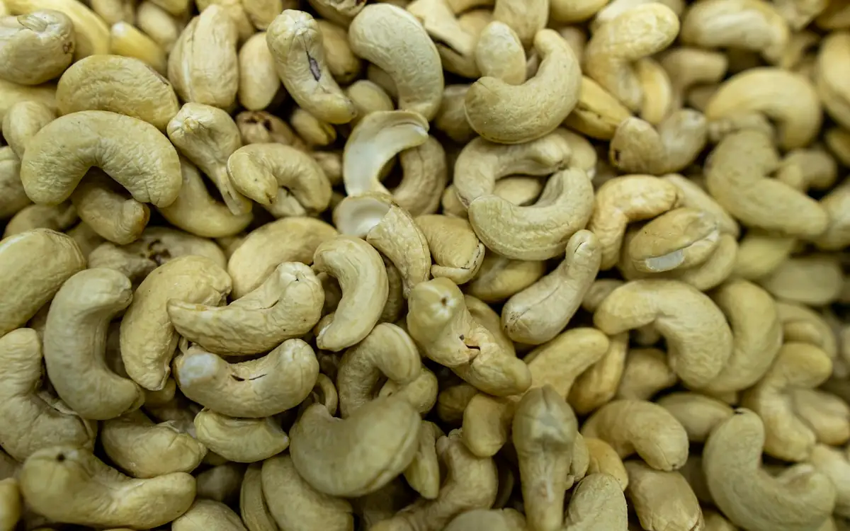A pile of raw cashew kernels