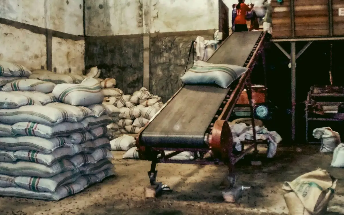 Sacks of produce stacked beside a conveyor in a warehouse